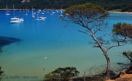 Anse Notre Dame Porquerolles Var