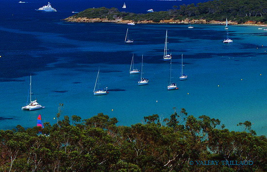 Baie de la Courtade Porquerolles Var