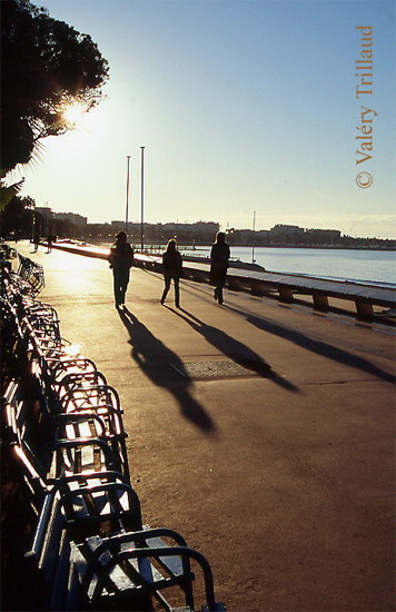 Cannes Croisette