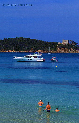 L'alycastre Porquerolles Var