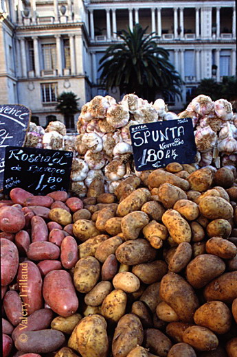 Marche -Nice-