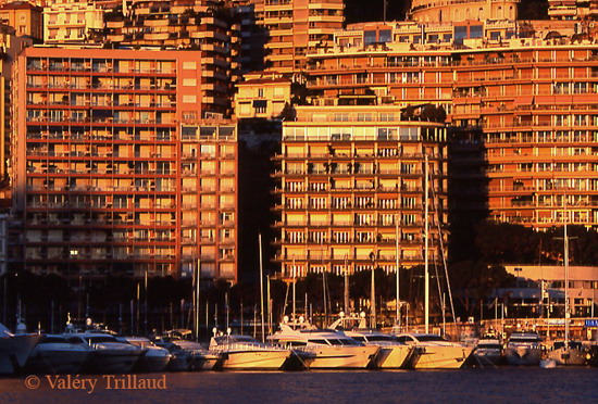 Monaco matinee