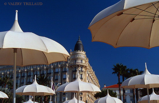 Plage privee du Carlton Cannes