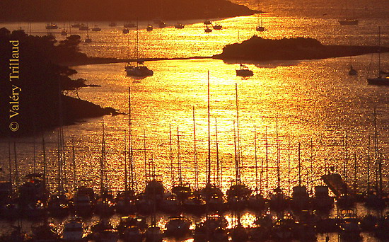 Porquerolles contre jour