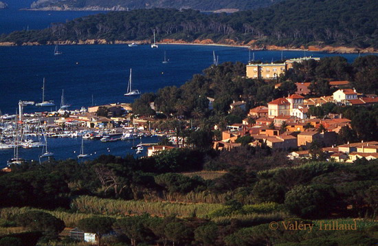 Porquerolles village