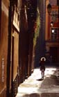 Contre jour Vieux Nice