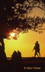 Fin de journee -Nice-