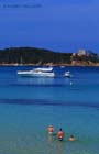 L'alycastre Porquerolles Var