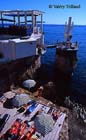 La Reserve en ete -Nice-