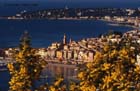 Le Mimosa de Menton