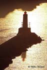 Le phare-Nice-
