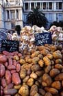 Marche -Nice-