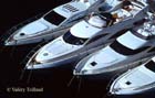 Monaco yachts