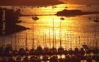 Porquerolles contre jour