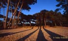 Porquerolles rayures