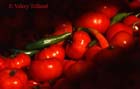 Tomates et piments Nice